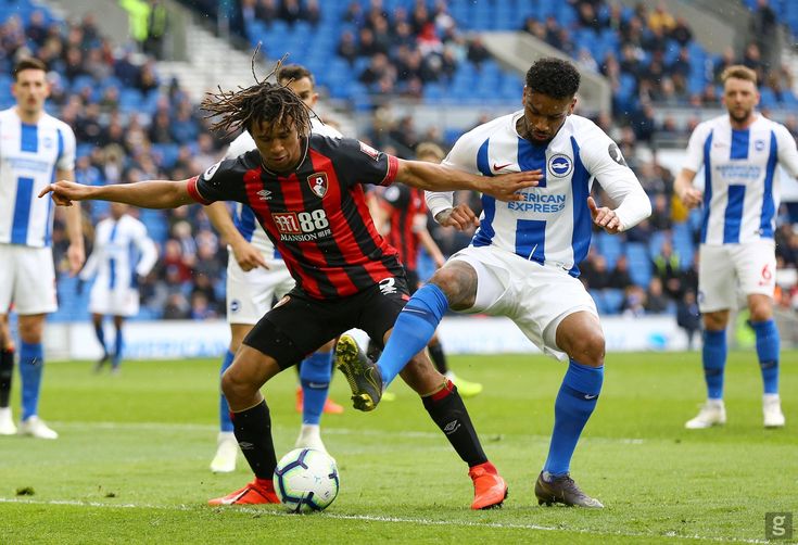 Nhận định Bournemouth vs Brighton - Thứ Bảy Ngày 23/11/2024